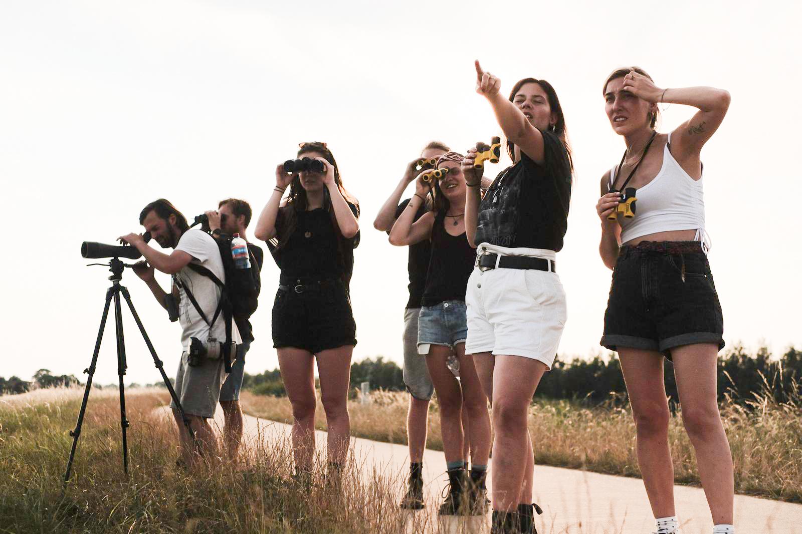 Watching birds in the Netherlands Watching birds in the Netherlands